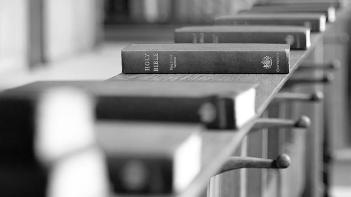 Line of Bibles in black and white