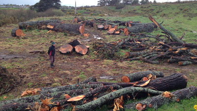 NZ Firewood 2 (16x9).jpg