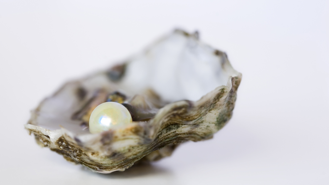 Half shell oyster with precious pearl