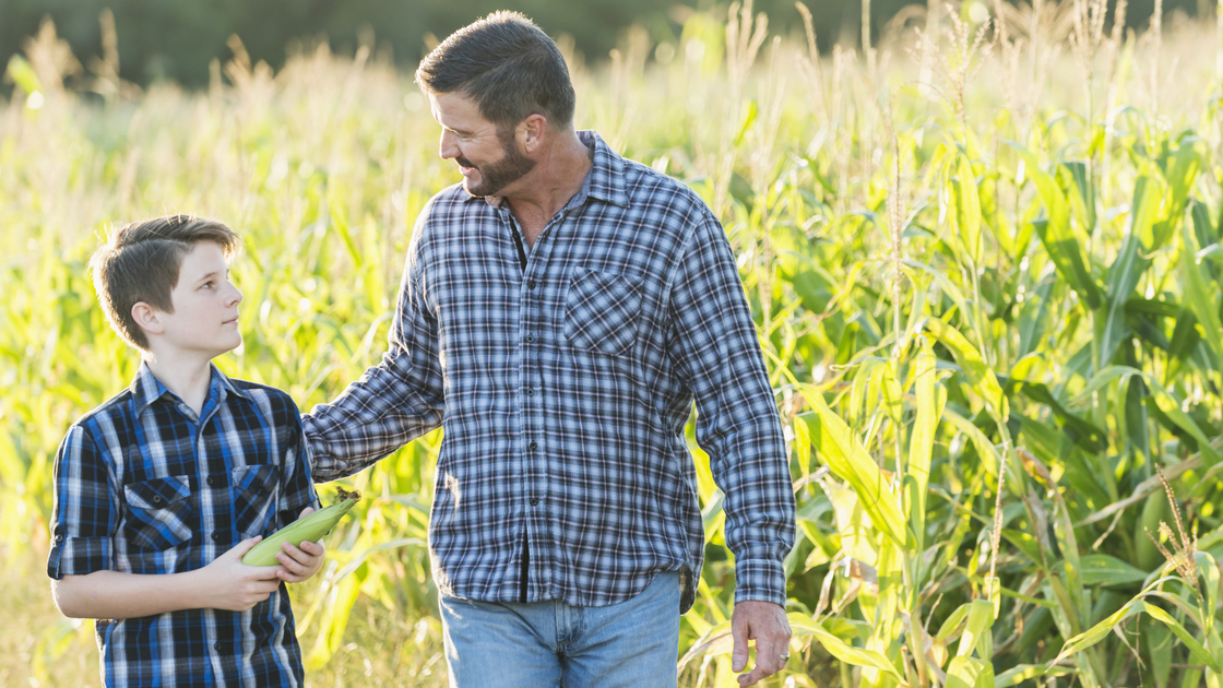 A farmer with his son, 13 years old, walking by a field of crops, cornstalks ready for harvesting. His hand is on his son's back and they are looking at each other as they walk.